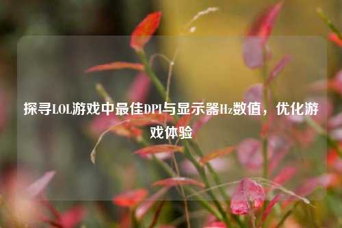 探寻LOL游戏中最佳DPI与显示器Hz数值,优化游戏体验