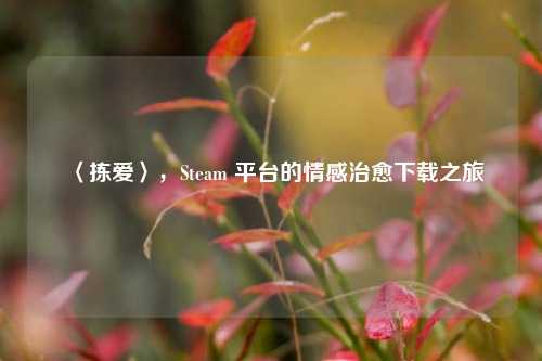 〈拣爱〉,Steam 平台的情感治愈下载之旅