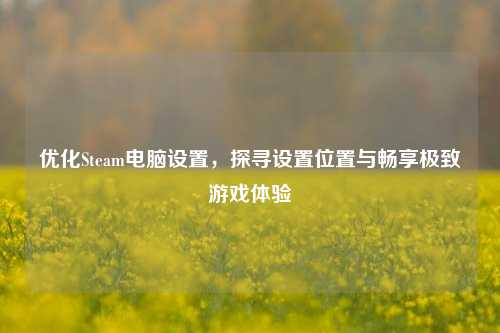 优化Steam电脑设置，探寻设置位置与畅享极致游戏体验