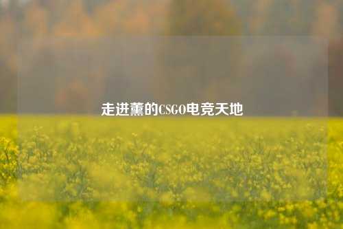 走进薰的CSGO电竞天地