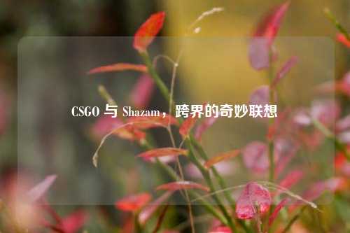 CSGO 与 Shazam，跨界的奇妙联想
