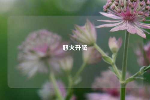 怒火升腾