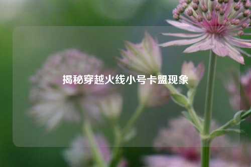 揭秘穿越火线小号卡盟现象