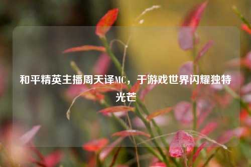 和平精英主播周天译MC,于游戏世界闪耀独特光芒