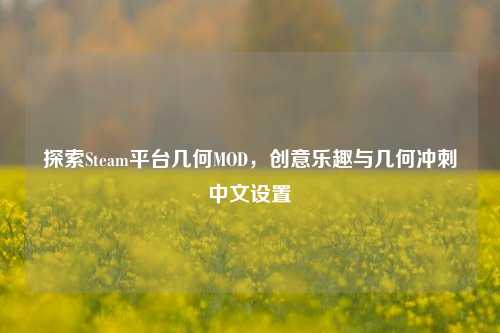 探索Steam平台几何MOD，创意乐趣与几何冲刺中文设置