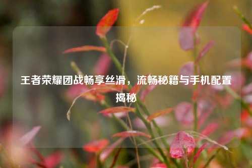 王者荣耀团战畅享丝滑，流畅秘籍与手机配置揭秘