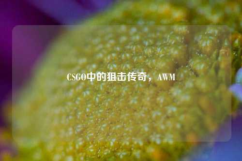 CSGO中的狙击传奇,AWM
