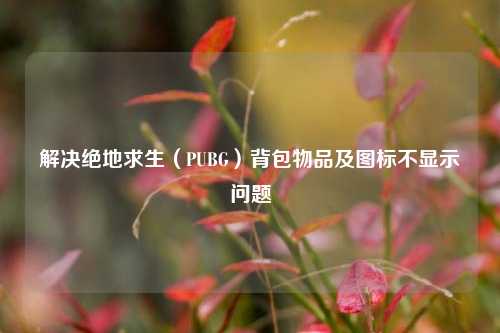 解决绝地求生（PUBG）背包物品及图标不显示问题