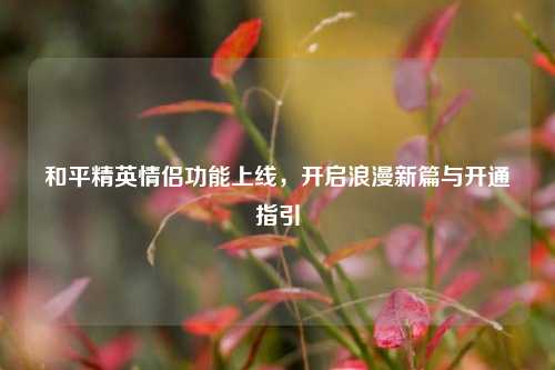 和平精英情侣功能上线,开启浪漫新篇与开通指引