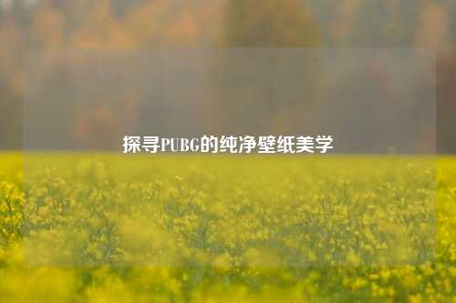 探寻PUBG的纯净壁纸美学