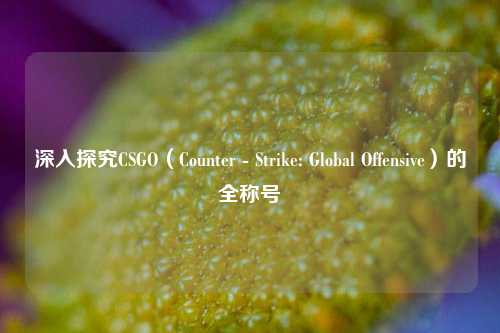 深入探究CSGO(Counter - Strike: Global Offensive)的全称号