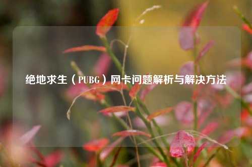 绝地求生（PUBG）网卡问题解析与解决方法
