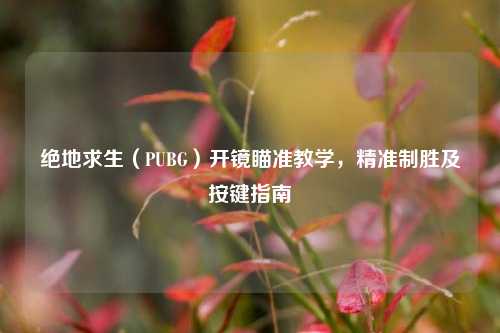 绝地求生（PUBG）开镜瞄准教学，精准制胜及按键指南