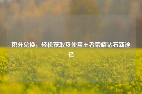 积分兑换,轻松获取及使用王者荣耀钻石新途径