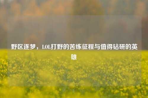 野区逐梦,LOL打野的苦练征程与值得钻研的英雄