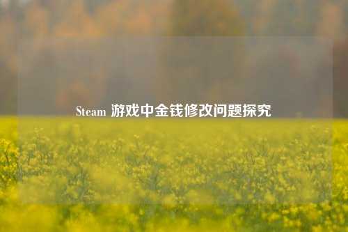 Steam 游戏中金钱修改问题探究