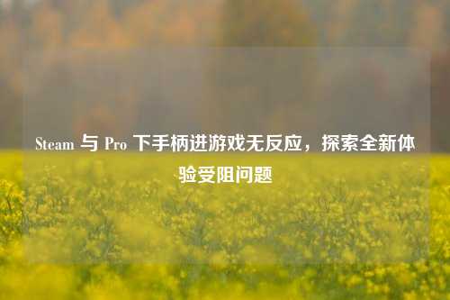 Steam 与 Pro 下手柄进游戏无反应,探索全新体验受阻问题