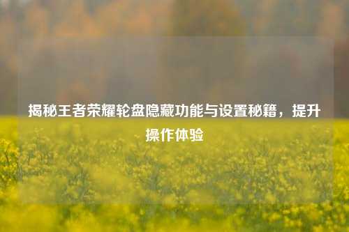 揭秘王者荣耀轮盘隐藏功能与设置秘籍，提升操作体验