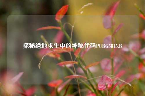 探秘绝地求生中的神秘代码PUBG5815.B
