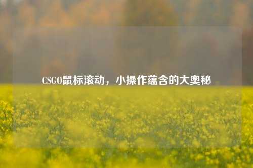 CSGO鼠标滚动，小操作蕴含的大奥秘