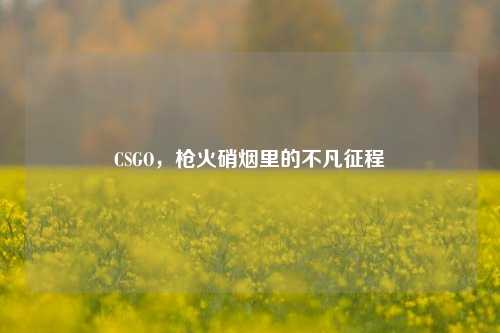 CSGO，枪火硝烟里的不凡征程