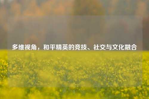 多维视角，和平精英的竞技、社交与文化融合