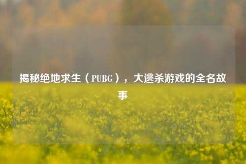 揭秘绝地求生(PUBG),大逃杀游戏的全名故事