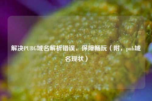 解决PUBG域名解析错误,保障畅玩(附,pub域名现状)