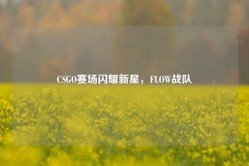 CSGO赛场闪耀新星，FLOW战队