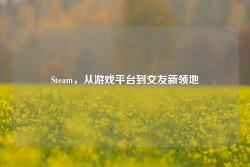 Steam，从游戏平台到交友新领地