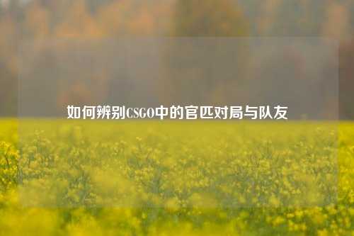 如何辨别CSGO中的官匹对局与队友