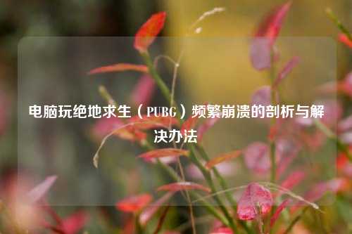 电脑玩绝地求生(PUBG)频繁崩溃的剖析与解决办法