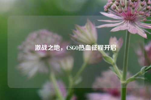 激战之地，CSGO热血征程开启