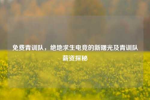 免费青训队，绝地求生电竞的新曙光及青训队薪资探秘