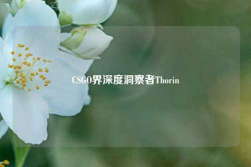 CSGO界深度洞察者Thorin