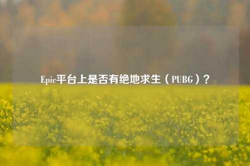 Epic平台上是否有绝地求生（PUBG）？