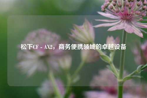 松下CF - AX2,商务便携领域的卓越设备