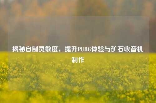 揭秘自制灵敏度,提升PUBG体验与矿石收音机制作