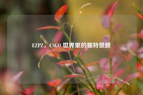 EZPZ,CSGO 世界里的独特景致