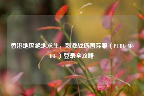 香港地区绝地求生,刺激战场国际服(PUBG Mobile)登录全攻略
