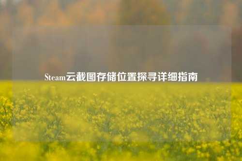 Steam云截图存储位置探寻详细指南
