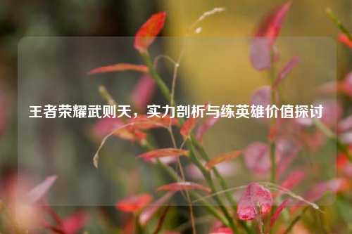 王者荣耀武则天,实力剖析与练英雄价值探讨