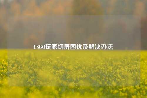 CSGO玩家切屏困扰及解决办法