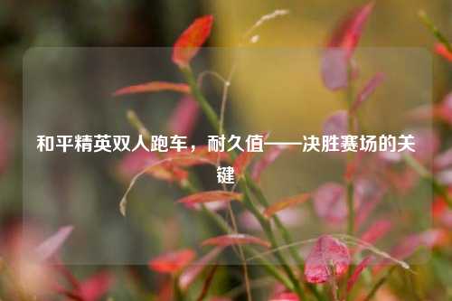 和平精英双人跑车,耐久值——决胜赛场的关键