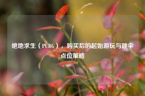 绝地求生(PUBG),购买后的起始游玩与跳伞点位策略