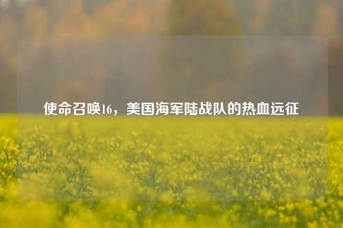 使命召唤16,美国海军陆战队的热血远征