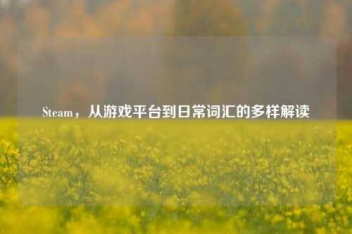 Steam,从游戏平台到日常词汇的多样解读