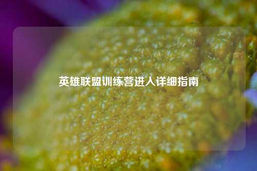 英雄联盟训练营进入详细指南