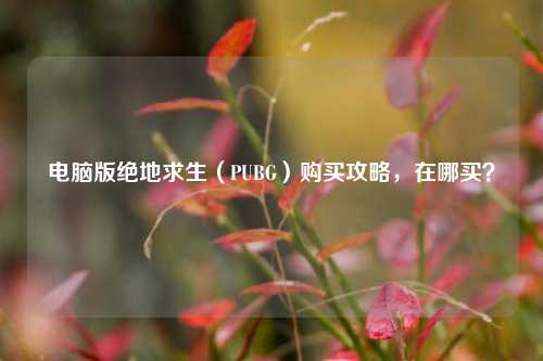 电脑版绝地求生(PUBG)购买攻略,在哪买?