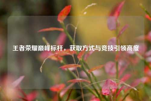 王者荣耀巅峰标杆,获取方式与竞技引领高度